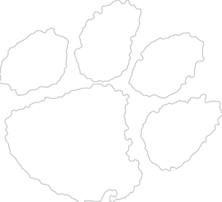 Tiger paw